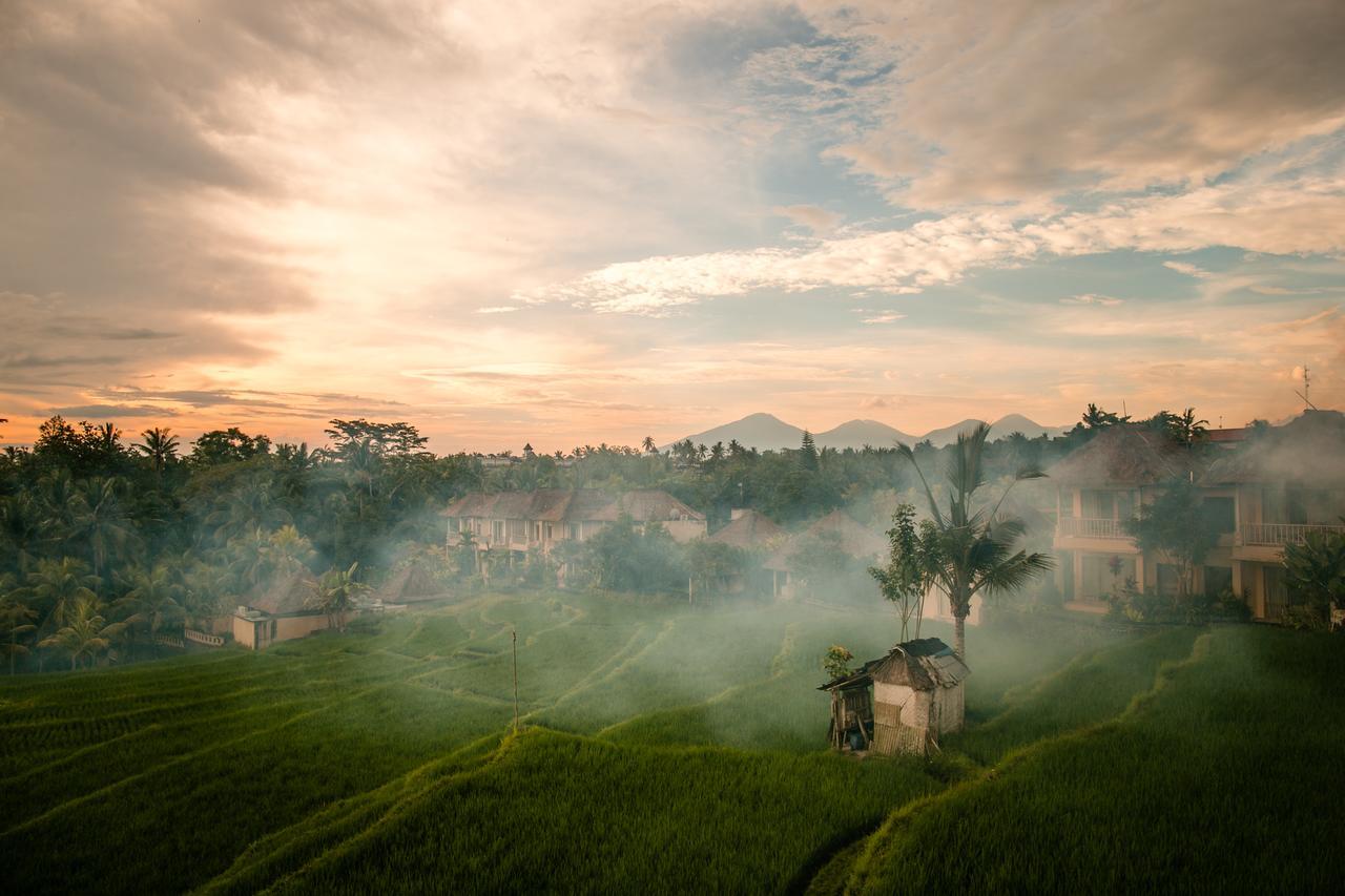 B Saya Villas Ubud Exterior foto